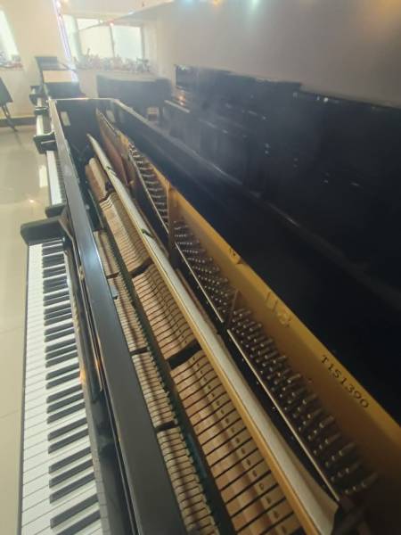 44.jpg