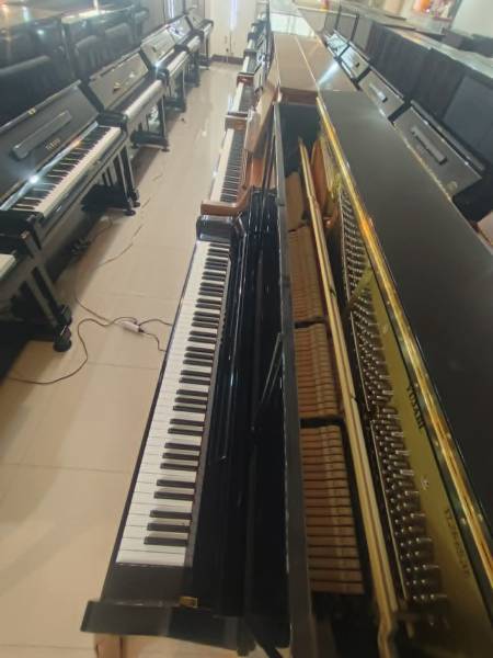 87.jpg
