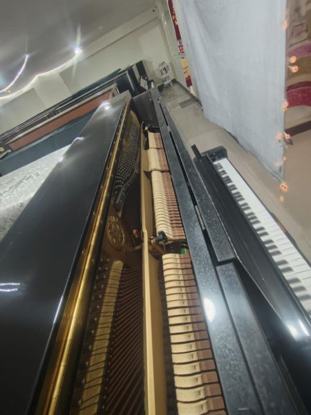 85.jpg