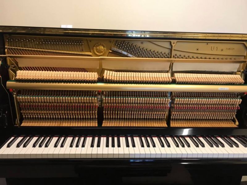 YAMAHA U1 中古鋼琴 (NEW)