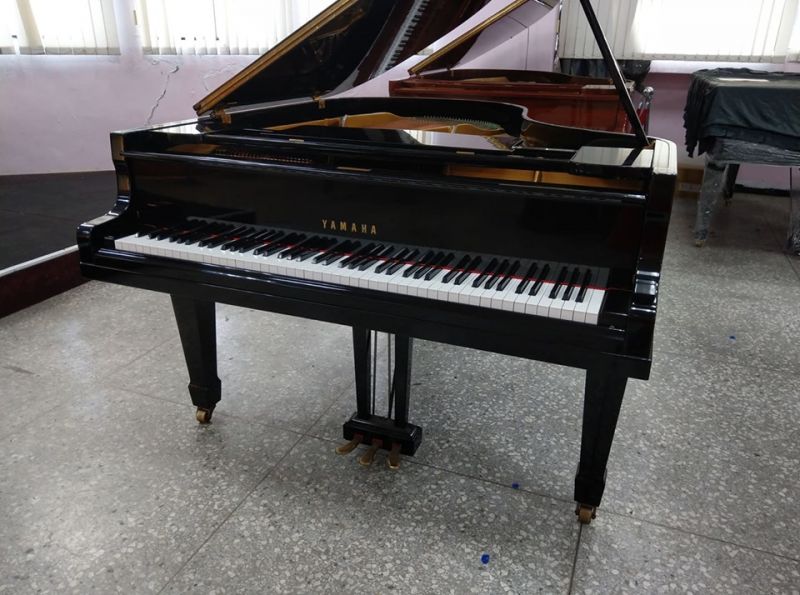  日本YAMAHA G2 平台三角演奏鋼琴 鋼琴到府估價服務 