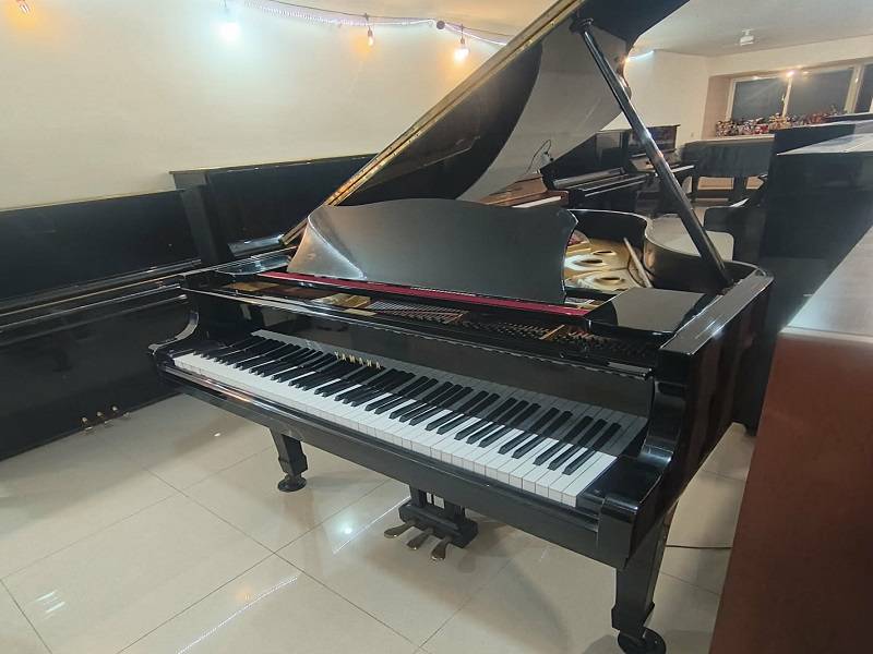  演奏琴 ( 三角鋼琴 ) 